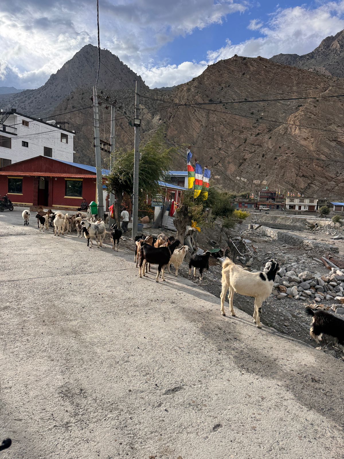 Day 6: Marpha to Jomsom to Kagbeni (50 km, 5 hrs)